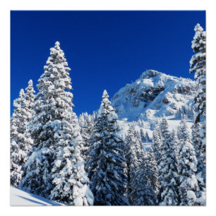 Pôster Montanha da neve