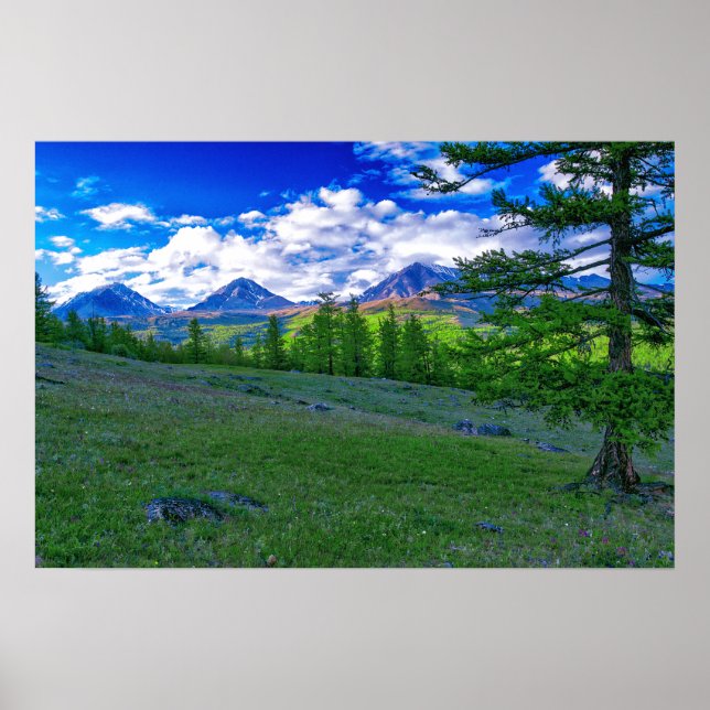 Poster Montanha mongol (Frente)