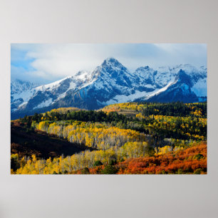 Poster Montanha nevado & árvores