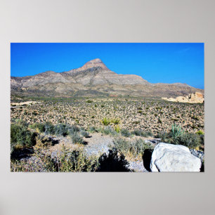 Pôster Montanha no Deserto de Nevada