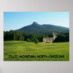 PÔSTER MONTANHA PILOTO, NORTH CAROLINA