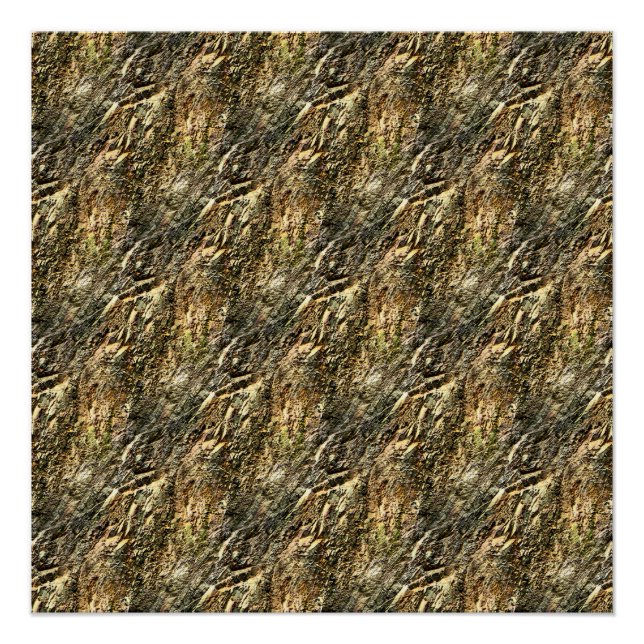 Pôster Montanha Ripplin... (Frente)