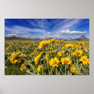 Pôster Montanha Rochosa