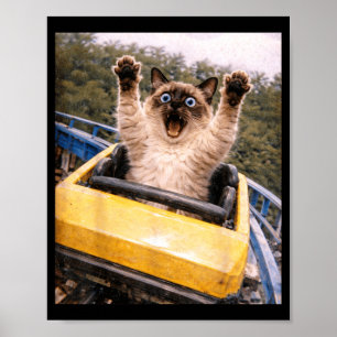 Poster Montanha Russa de Gato Engraçado Gráfico de Meme B