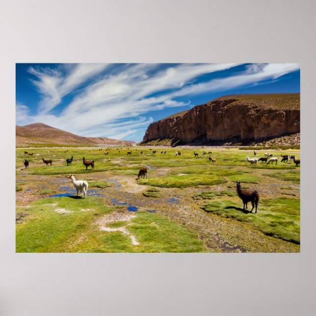 Poster Montanhas | Andes bolivianos (Frente)