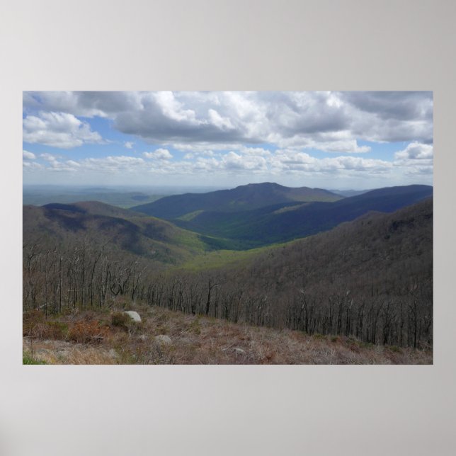 Poster Montanhas Appalachian em Primavera (Frente)