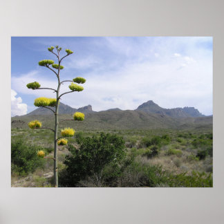 Poster Montanhas Chisos - Big Bend, Texas