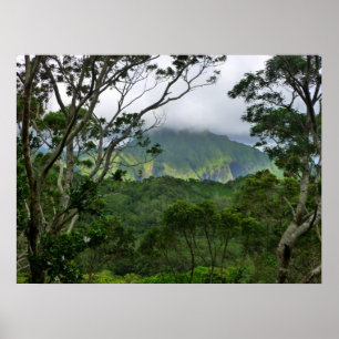 Pôster Montanhas de Koolau