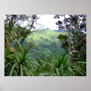 Poster Montanhas de Koolau acima do vale de Manoa, O'ahu