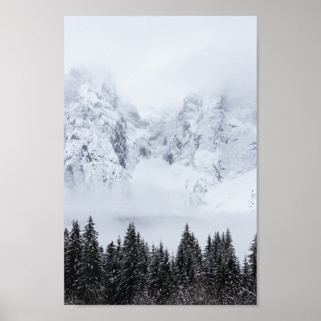 Poster Montanhas de neve e floresta de picos (Frente)