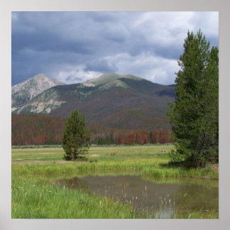 Pôster Montanhas do Colorado