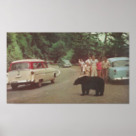 Poster Montanhas do Enfumaçado da Carolina do Norte