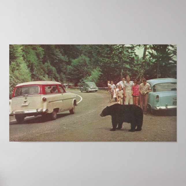 Poster Montanhas do Enfumaçado da Carolina do Norte (Frente)