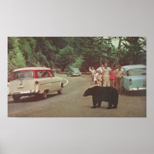 Poster Montanhas Enfumaçados da Carolina do Norte