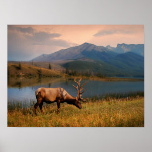 Poster Montanhas   Jacques Mountain Range Alberta Canadá