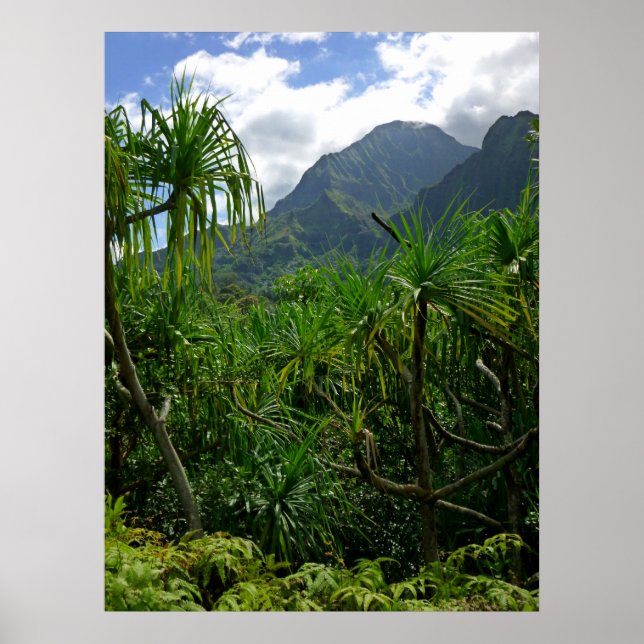 Poster Montanhas Koolau (Frente)