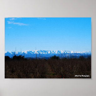 Poster Montanhas Nevadas Atrás do Campo de Caquis