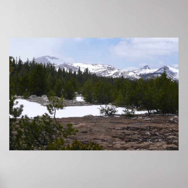 Poster Montanhas Sierra Nevada e Neve em Yosemite (Frente)