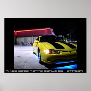 Pôster Monte 2002 - Carlo SS