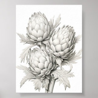 POSTER MONTE DE ARTICHOKES