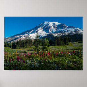 Pôster Monte Rainer wilflower