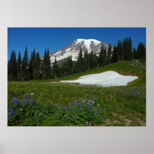 Poster Monte Rainier, Flores Silvestres e Neve