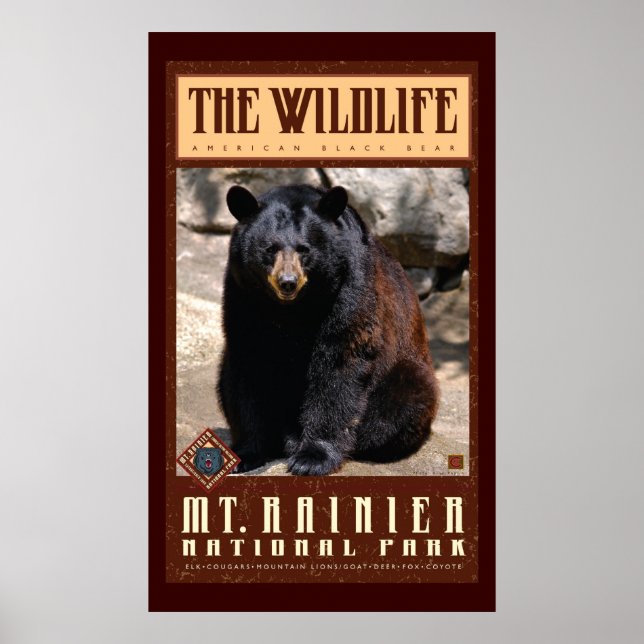 Pôster Monte Rainier Nat'l Park (Frente)