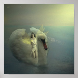 Pôster Monte uma cisne branca