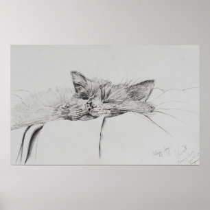 Pôster Monty adormecido