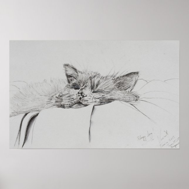 Pôster Monty adormecido (Frente)