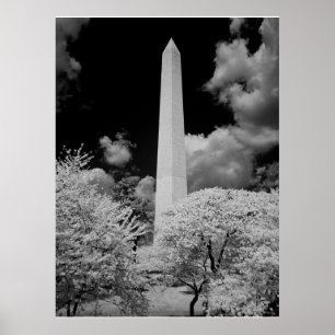 Pôster Monumento a Washington