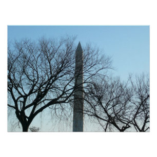 Pôster Monumento a Washington em Fotografia Viagem de inv