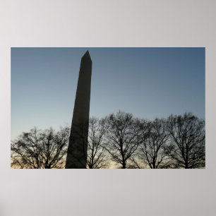 Pôster Monumento a Washington no inverno II