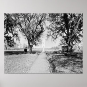 Pôster Monumento de Chalmette: 1900