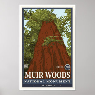 Poster Monumento nacional 3 das madeiras de Muir