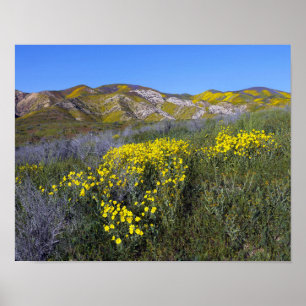 Pôster Monumento Nacional do Carrizo Plain