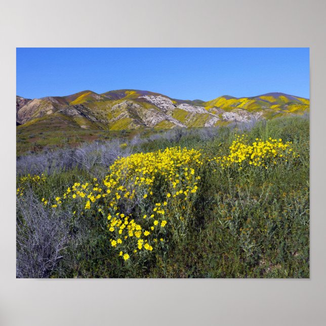 Pôster Monumento Nacional do Carrizo Plain (Frente)