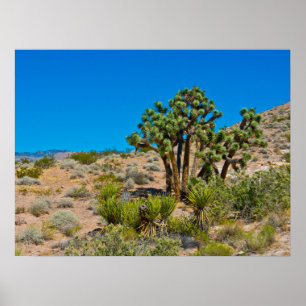 Poster Monumento Nacional Dourado Butte
