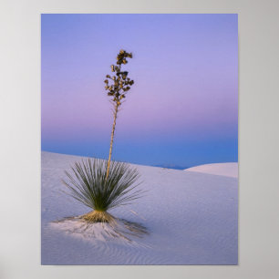 PÔSTER MONUMENTO NACIONAL WHITE SANDS, NOVO MÉXICO.