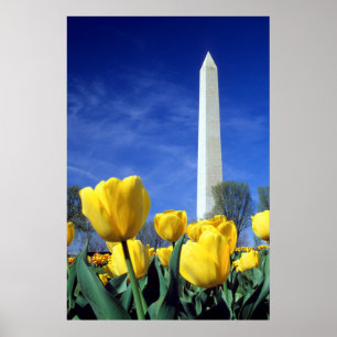 Poster Monumentos   Monumento a Washington em Primavera