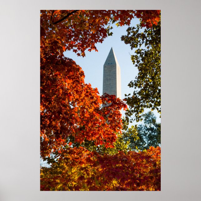Poster Monumentos | Monumento de Washington no outono (Frente)