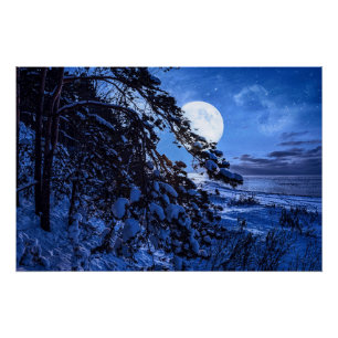Pôster Moon over snowy fir tree and sea coast at night
