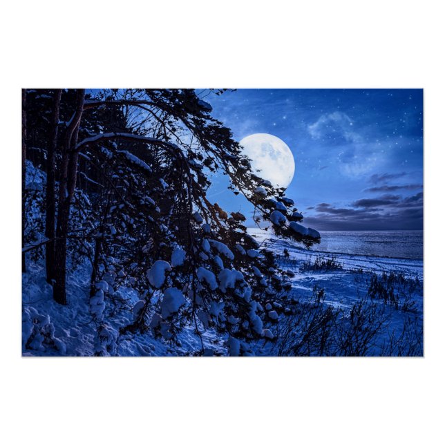 Pôster Moon over snowy fir tree and sea coast at night (Frente)