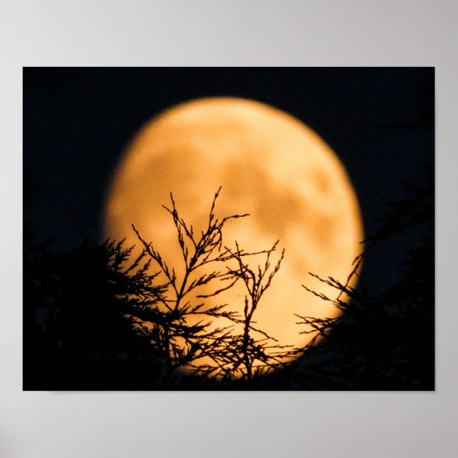 Poster Moon Silhouette (Frente)