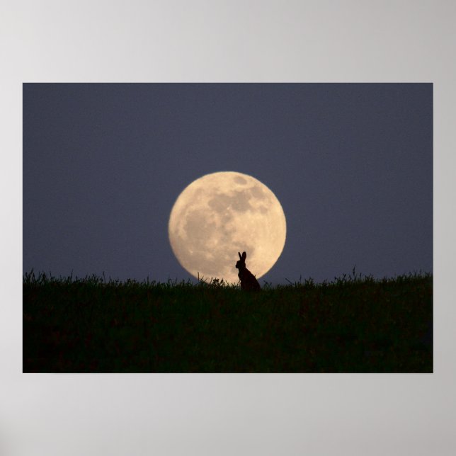 Pôster Moongazer (Frente)