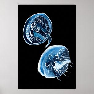 Poster MoonJellyfish — arte da aquarela