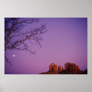Poster Moonrise sobre a garganta da angra do carvalho