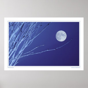 Pôster Moonstruck