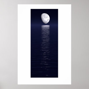Poster Moontrail