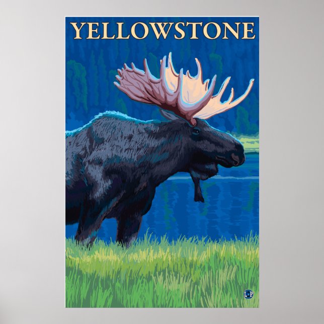 Pôster Moose à Noite - Parque Nacional de Yellowstone (Frente)